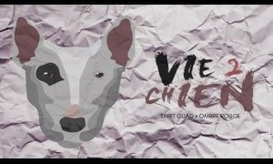 Vie 2 Chien