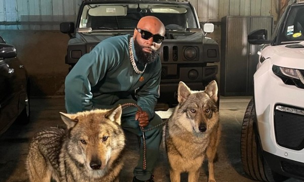 Kaaris sortira la semaine prochaine le premier extrait de sa mixtape ''Château Noir'' Kaaris sortira la semaine prochaine le premier extrait de sa mixtape ''Château Noir''