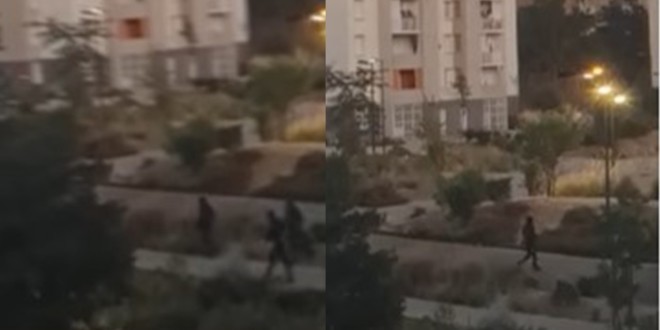 Un commando encagoulé et lourdement armé sème la terreur à Cavaillon (Vidéo) 