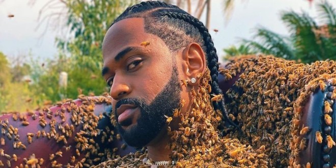 Un rappeur Américain tourne un clip avec 65.000 abeilles sur le corps 