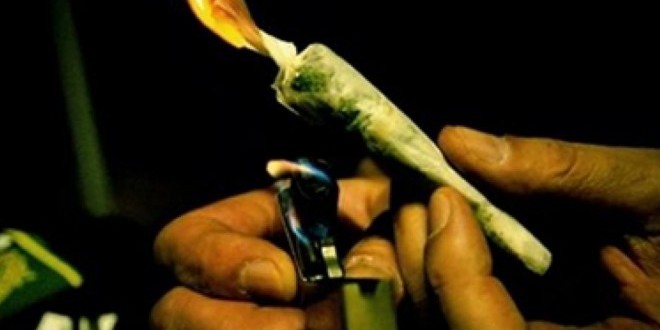 Marseille: des cartes de fidélité pour les consommateurs de drogue !