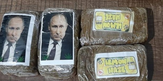 Du cannabis à l’effigie de Vladimir Poutine saisi en Libye (Photos) 
