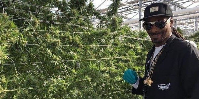 Snoop Dogg investit  15 millions de dollars dans l’industrie de la weed en Allemagne 