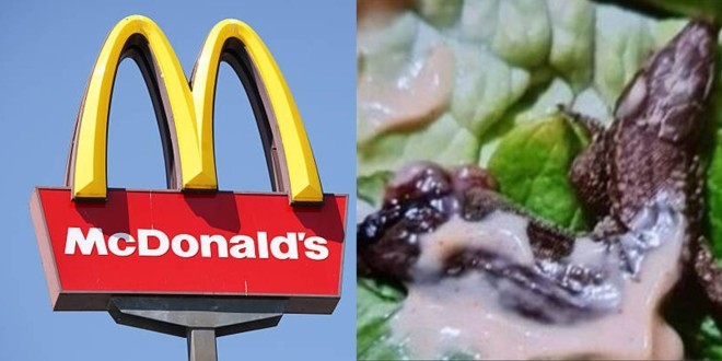 Une cliente découvre un lézard dans son burger commandé chez McDonalds de Saint-Witz (Vidéo)  