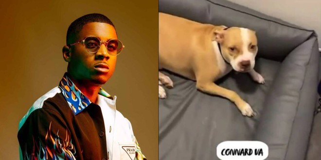 Timal tabasse son chien en live et provoque une grande polémique (Vidéo) 