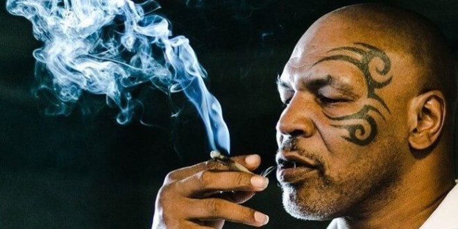 Mike Tyson dévoile son budget mensuel de weed 