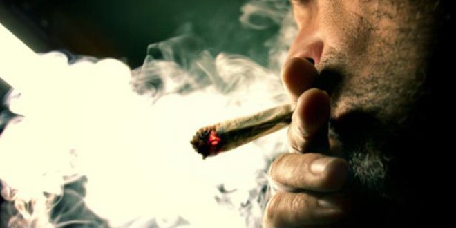 Fusillade à Marseille: légaliser le cannabis pour mettre fin aux règlements de compte !