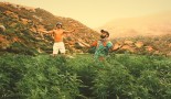 Niro - Stupéfiant feat Maes (Clip Officiel) Niro - Stupéfiant feat Maes (Clip Officiel)