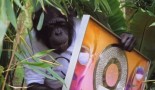 PNL sortira bientôt une vidéo où ils enverront Mowgli chercher le diamant de ''Deux Frères'' PNL sortira bientôt une vidéo où ils enverront Mowgli chercher le diamant de ''Deux Frères''