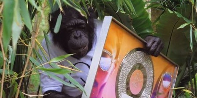 PNL sortira bientôt une vidéo où ils enverront Mowgli chercher le diamant de \'\'Deux Frères\'\'