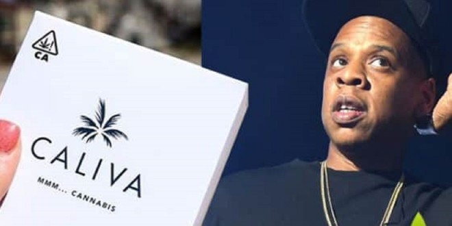 Commerce légal de cannabis: Jay-Z lance un fonds d\'investissements 