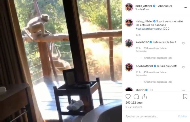 Niska : Des singes ont essayé de s'introduire dans la chambre d’hôtel du rappeur en Afrique du Sud